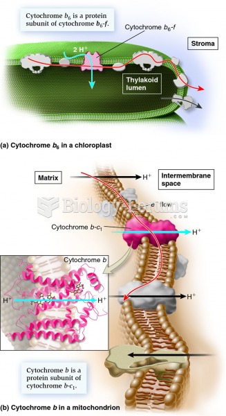 Homologous proteins in the electron transport chains of mitochondria and chloroplasts