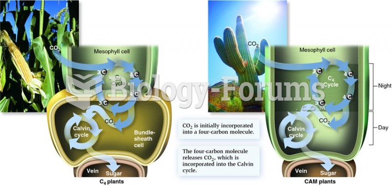 A comparison of C4 and CAM plants