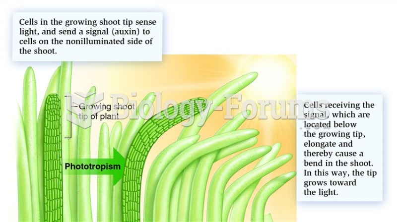 Phototropism in plants