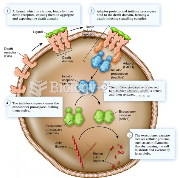 The extrinsic pathway for apoptosis in mammals