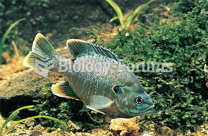 Male pumpkinseed sunfish, Lepomis gibbosus, build their nests in the shallows of lakes and ponds. Th