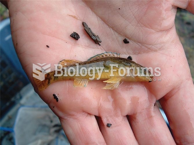 Darters such as this male greenside darter form a diverse and distinctive subfamily of fishes within