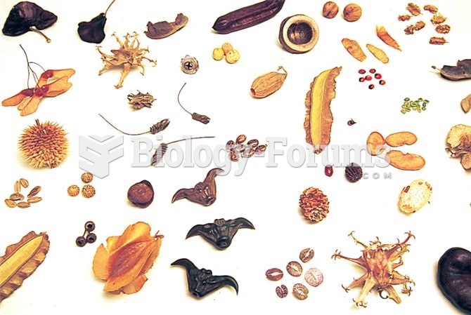 A small sample of the great diversity of seed sizes and shapes.