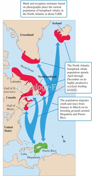 Photoidentification and the North Atlantic humpback whale population.