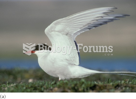 During their annual migration, the entire population of Arctic terns move from the Arctic Ocean in t
