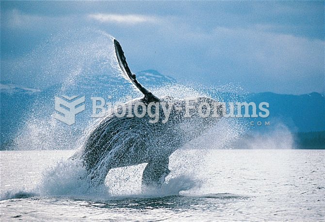 Unique markings identify individual humpback whales. 