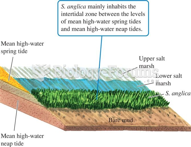 The niche of Spartina anglica is related to tidal fluctuations.