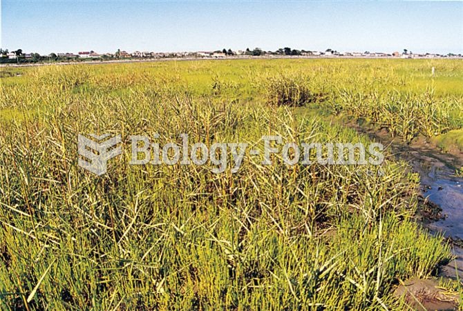 The salt marsh grass Spartina anglica originated on the coast of England as a hybrid of European and