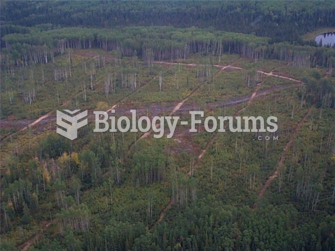 Large regions of the Boreal forest in Alberta have been divided into a grid due to industrial develo