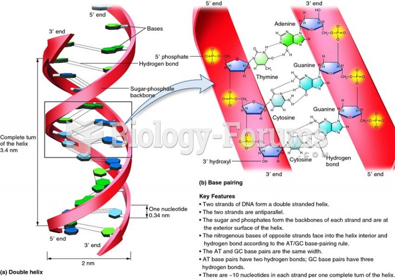 Structure of the DNA double helix