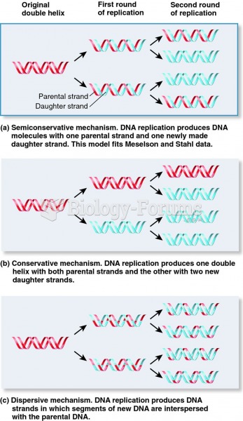 Three mechanisms for DNA replication