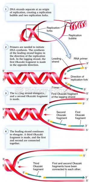 DNA replication is bidirectional from each origin, creating two forks per origin