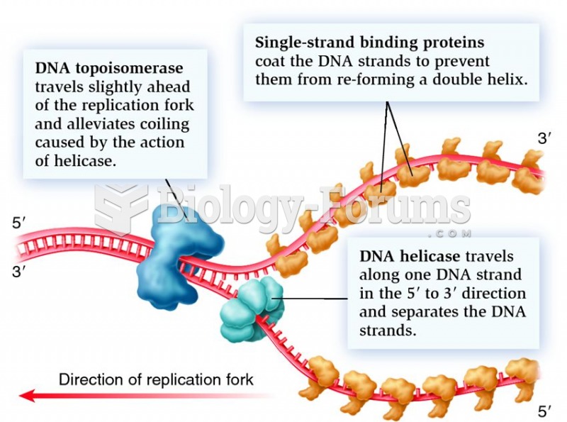 Proteins that facilitate the formation and movement of a replication fork