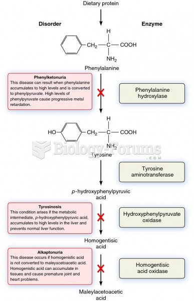 The metabolic pathway that breaks down phenylalanine and its relationship to certain genetic disease