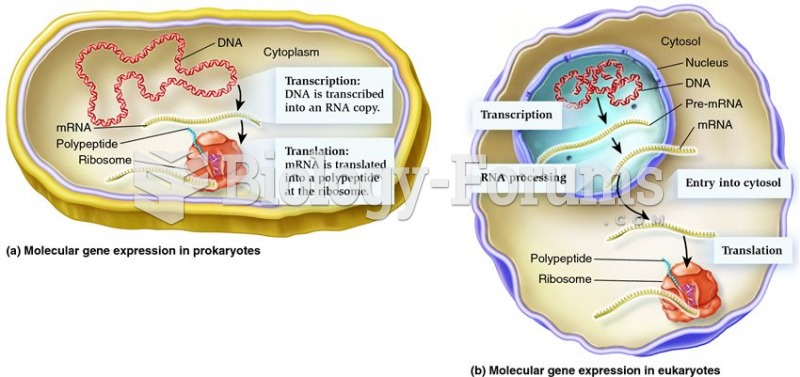 The central dogma of genetics at the molecular level.