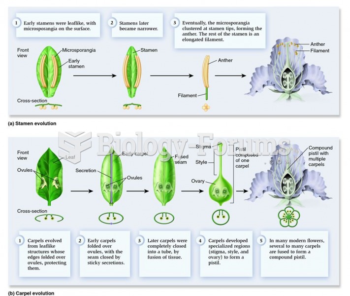 Hypothetical evolution of stamens, carpels, and pistil
