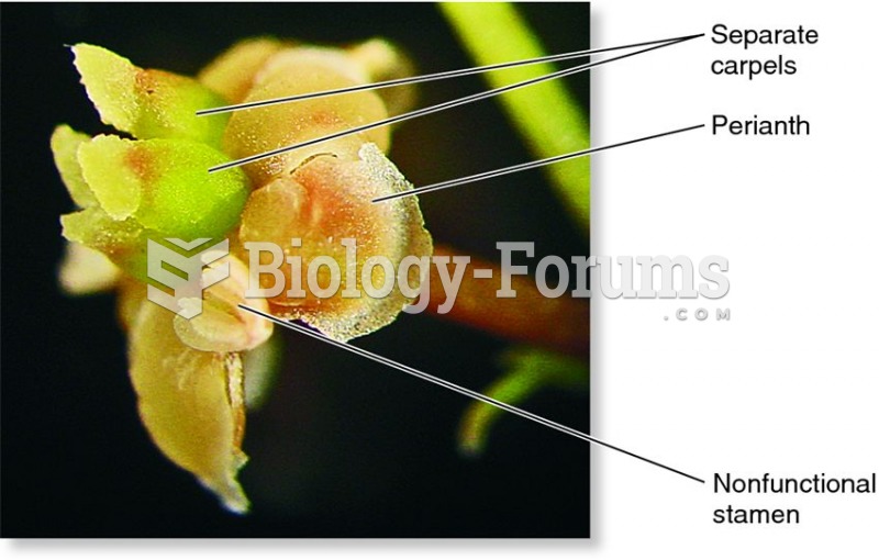 Amborella trichopoda flower, similar to a hypothesized early flower
