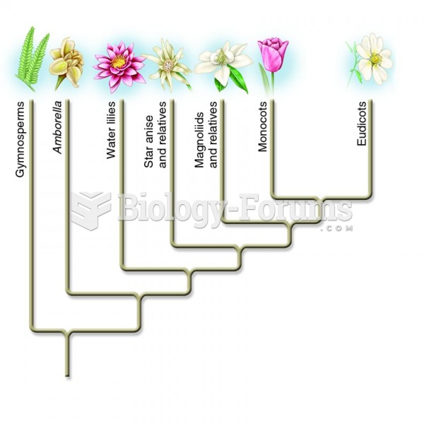 A phylogeny showing the major modern angiosperm lineages