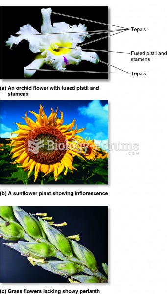 Evolutionary changes in flower structure