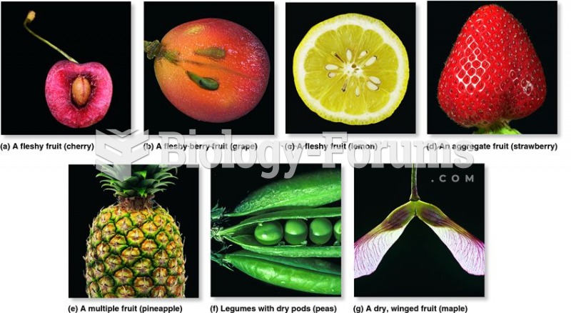 Representative fruit types