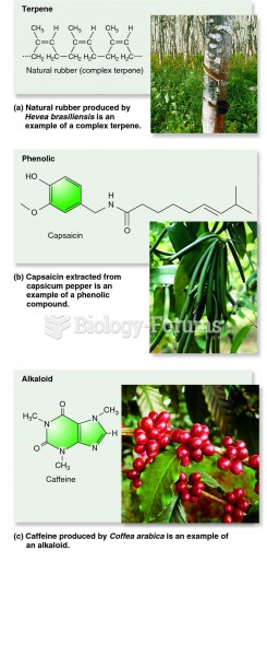 Major types of plant secondary metabolites