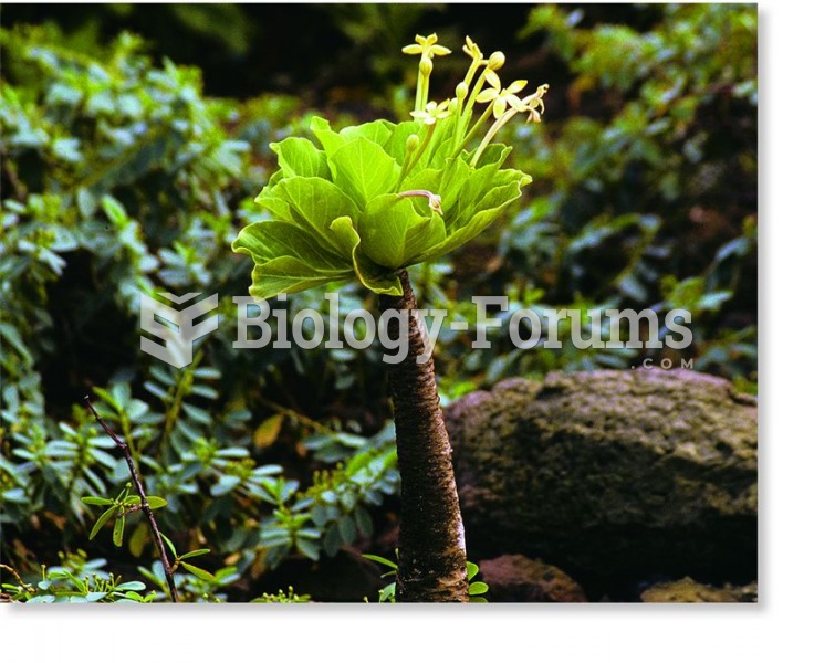 Brighamia insignis, an endangered plant