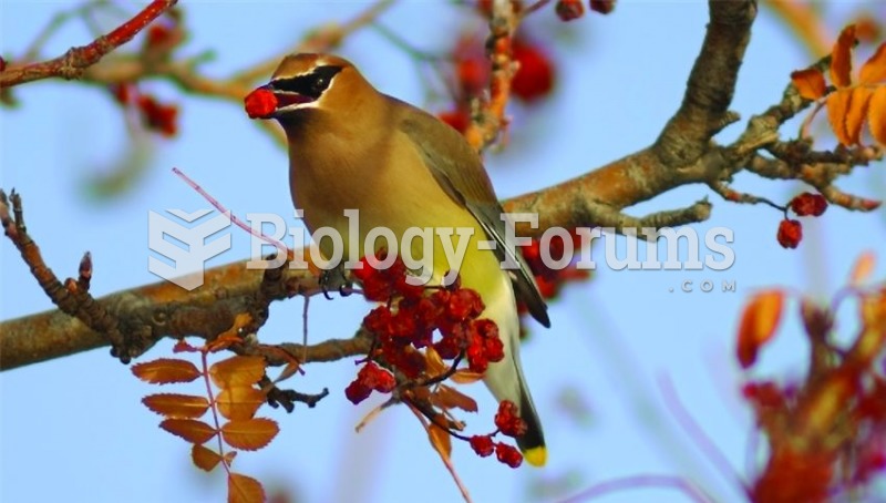 Fruits attractive to animal seed dispersal agents.