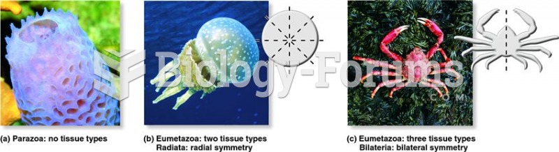 Early divisions in the animal phylogeny.