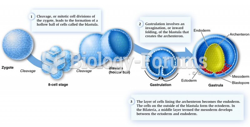 Formation of germ layers.