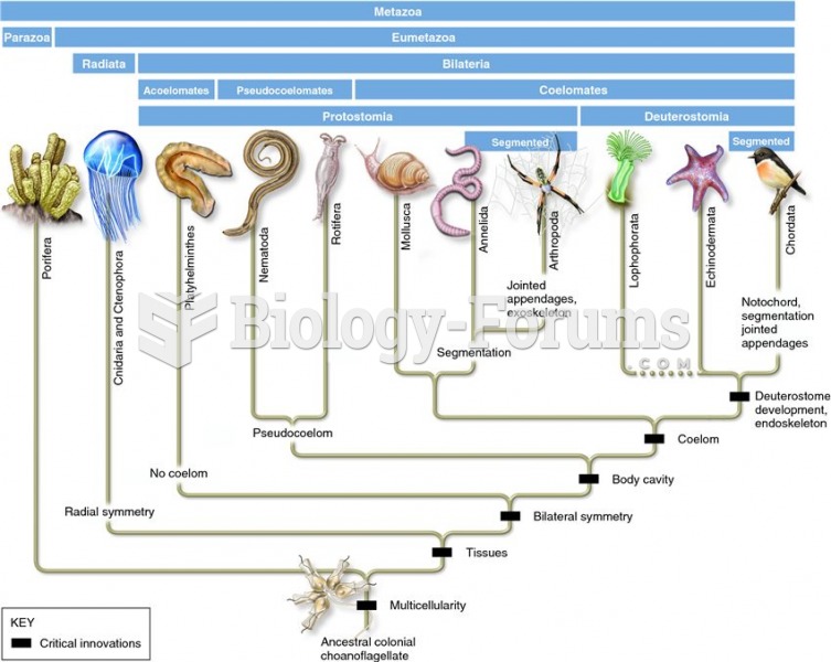 Traditional animal phylogeny based on body plans.