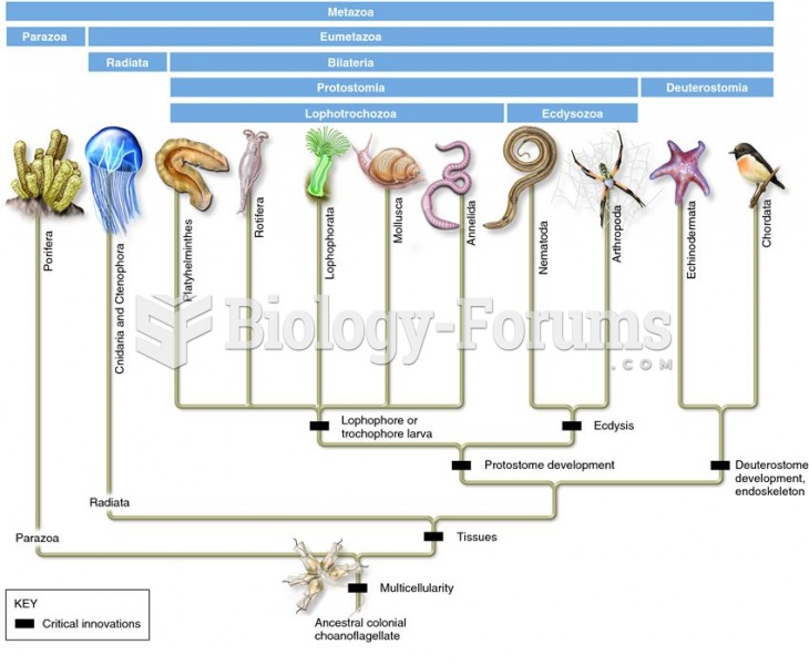 A revised animal phylogeny based on molecular data of SSU rRNA