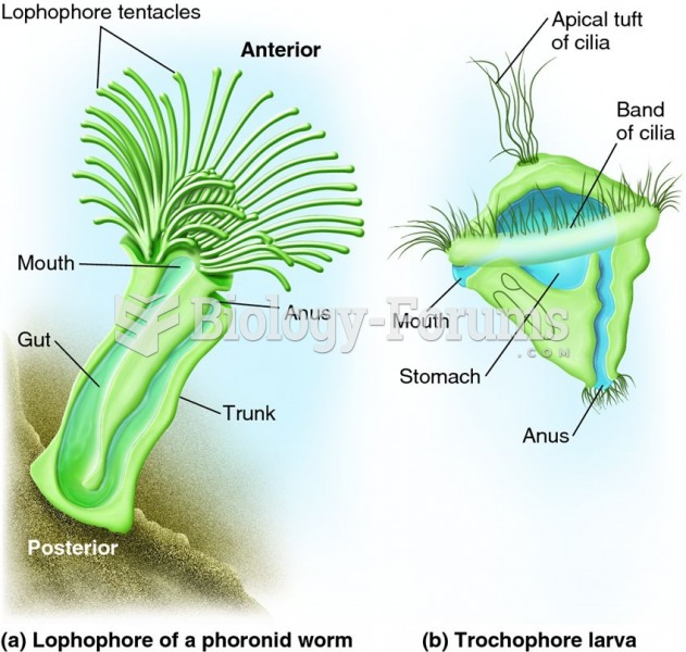 Characteristics of the Lophotrochozoa.