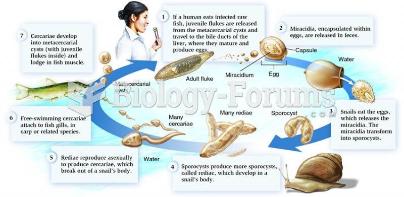 The complete life cycle of a trematode.