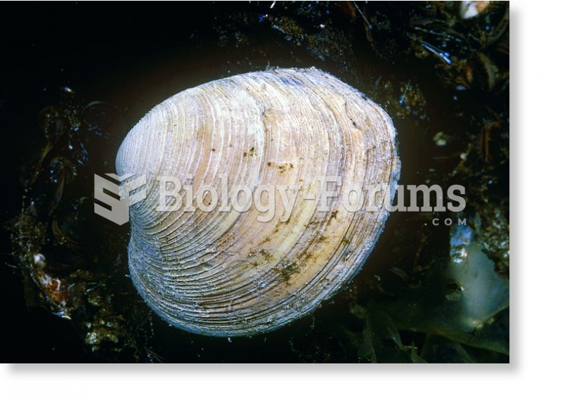 Bivalve shells have growth rings.