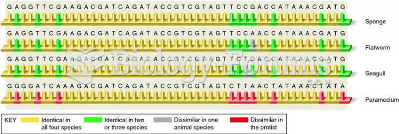 Comparison of small subunit (SSU) rRNA gene sequences from three animals and a protist.