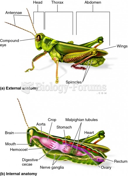 Body plan of an arthropod, as represented by a grasshopper