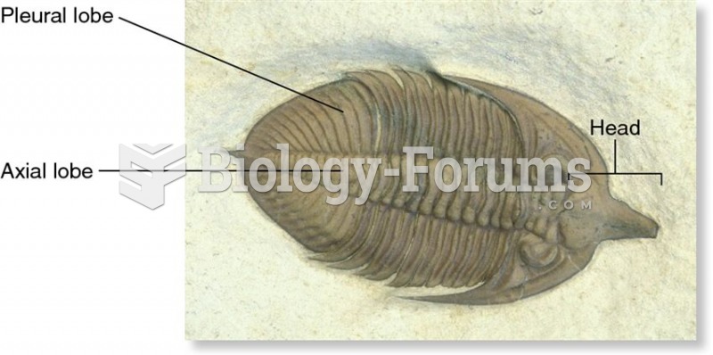 A fossil trilobite.