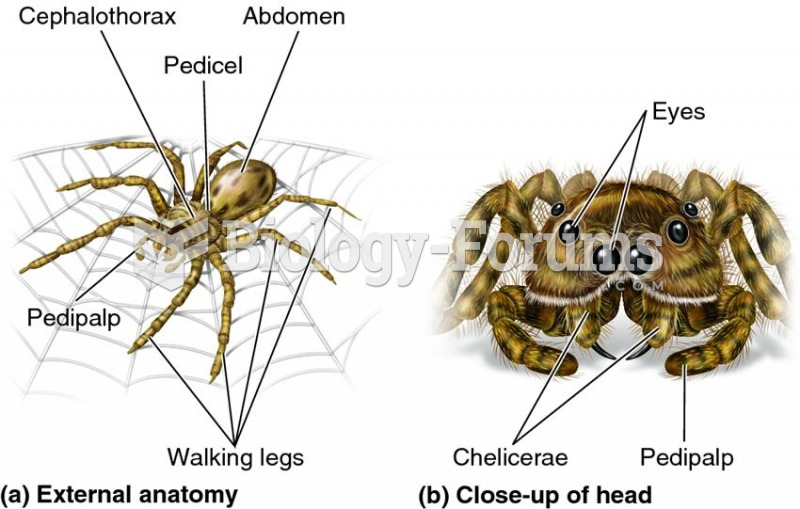 Spider morphology