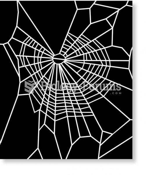 Web spun by spider fed with prey containing marijuana