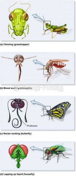A variety of insect mouthparts.