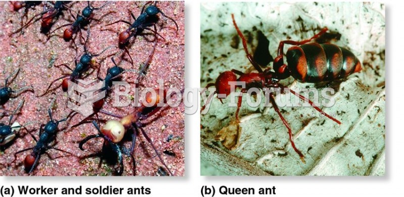 The division of labour in insect societies.