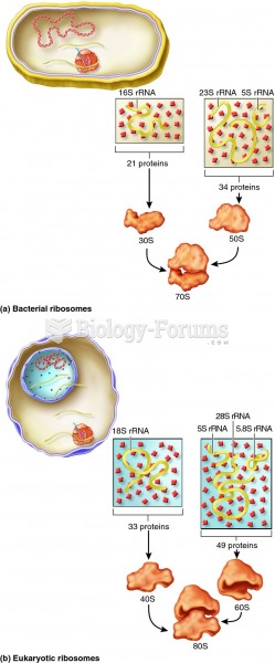 Bacterial ribosomes