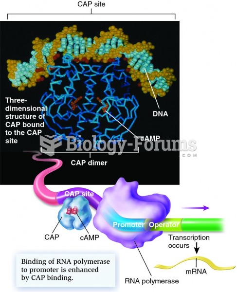 Positive regulation of the lac operon by the catabolite activator protein (CAP)