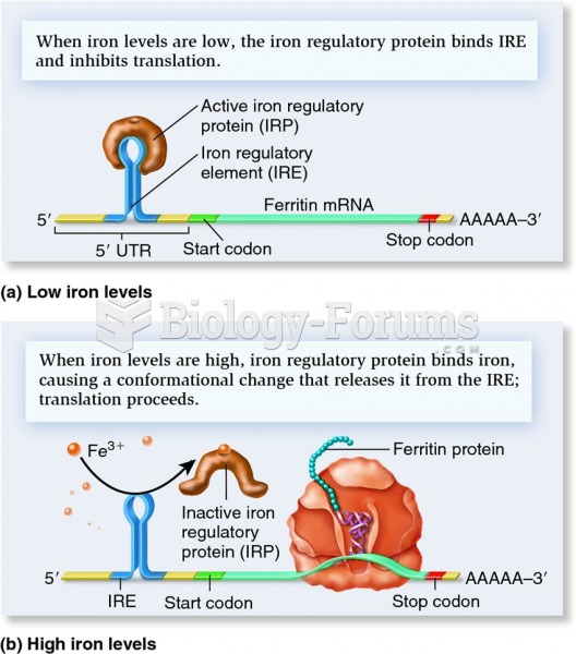 Translational regulation of ferritin mRNA by the iron regulatory protein (IRP)
