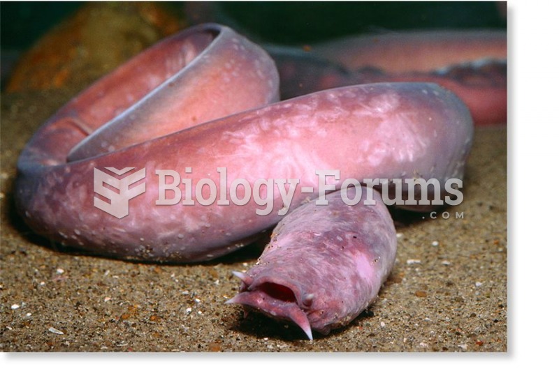 The hagfish: A craniate that is not a vertebrate.