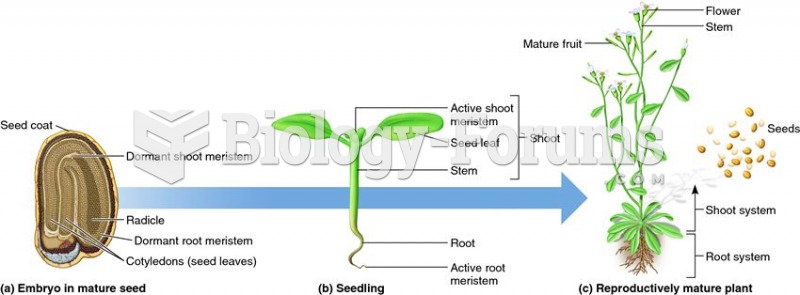 The seed-to-seed life of flowering plants.