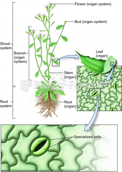 Levels of biological organization in a plant.