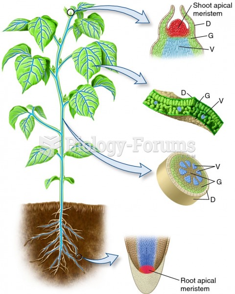 Plant apical meristems and the primary tissues they produce.