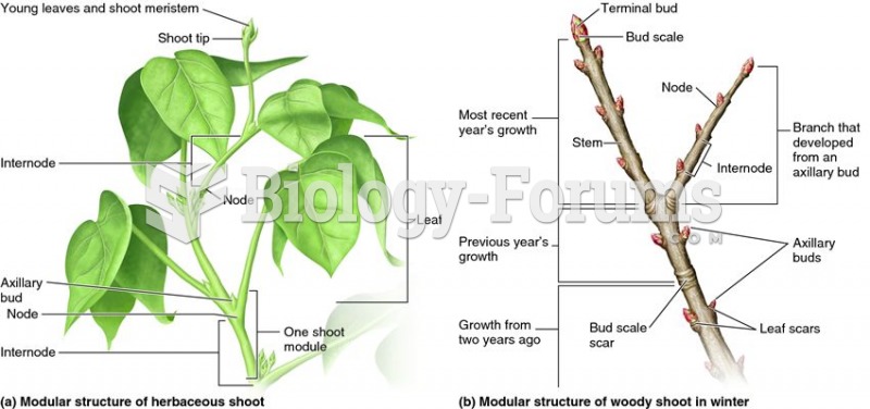 Plant shoots have a modular organization.