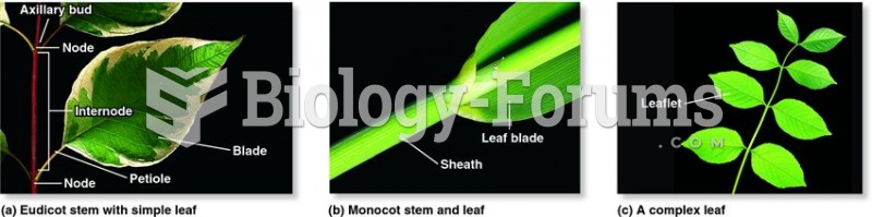 Examples of variation in leaf form.